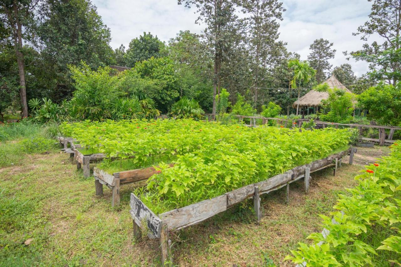 邦通森林小屋 暹粒 外观 照片
